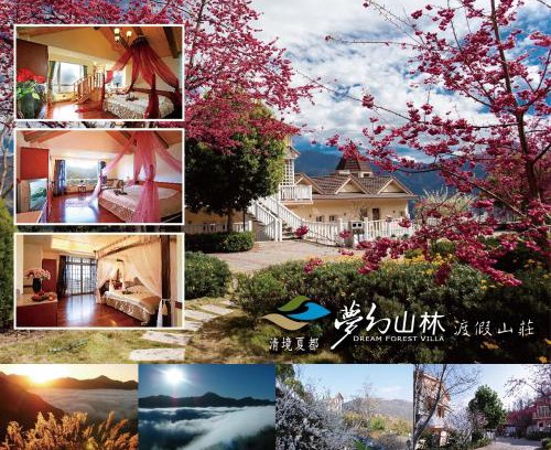 Ren'ai House | Dream Forest Villa