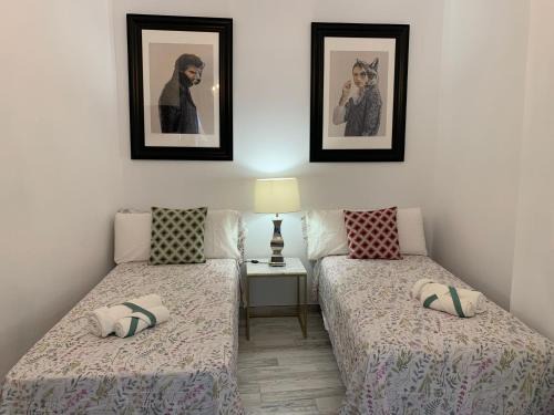 Santa Cruz de Tenerife Apartment | DREAM SMILE