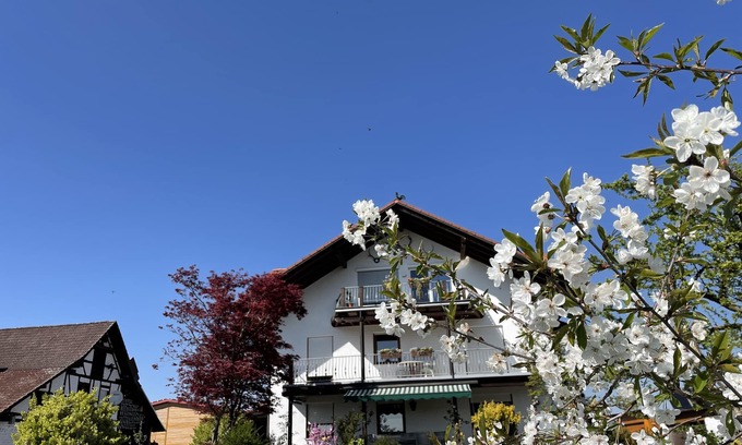 Waggershausen Apartment | Dreamlike estate on Lake Constance - a sustainable vacation dream with a view of the Alps