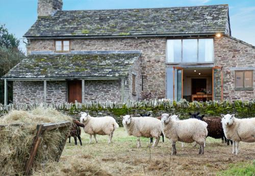Westbrook Court Resort | Drovers Rest Farm Stay