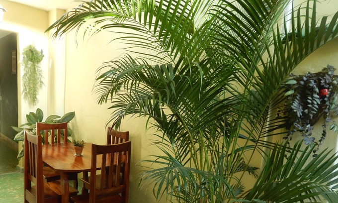 Santa Clara House | Dulce Paz