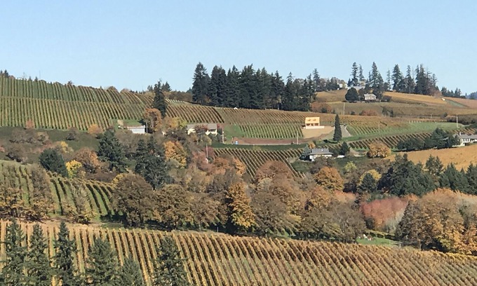 Dundee House | Dundee Hills. 3 Master Suites! Exquisite Oregon Wine Country Experience