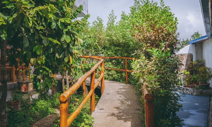Bahia de la Academia Hotel | ECO HOSTAL ISLA AZUL