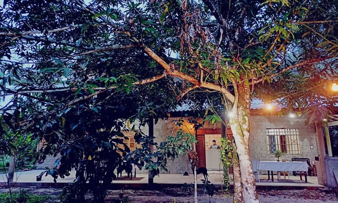 Terra Firme Hotel | Eco Sítio o Labirinto do Fauno