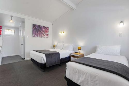 Kent Town Cabin | Econo Lodge East Adelaide