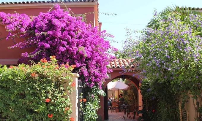 La Serena Bed & Breakfast | EL ARBOL HOSTEL