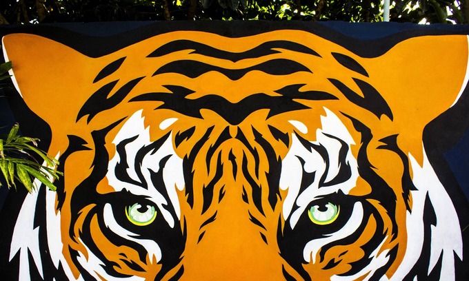 Barrio de Santiago House | El Tigre de Santiago