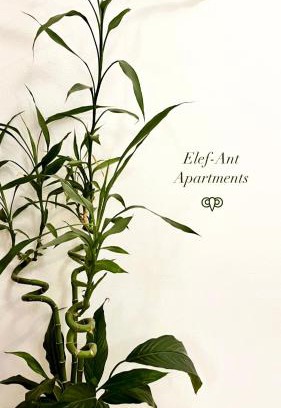 Heraklion Apartment | Elef-ant apartment