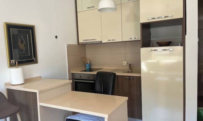 Dubovica Apartment | Elegant Mega Apartment in the Heart of the City