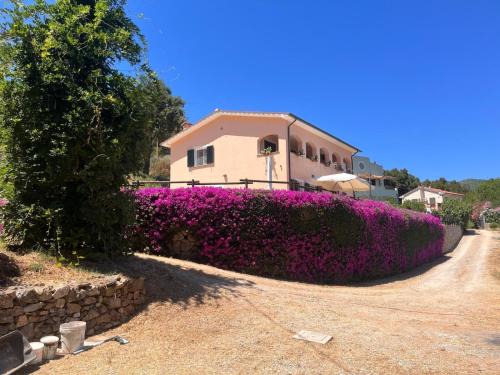 Rio Villa | Elegante Villa Perelle - Goelba