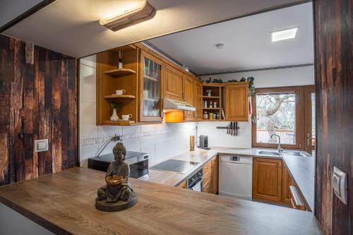 Bozicany Apartment | Elements Apartments & Renata