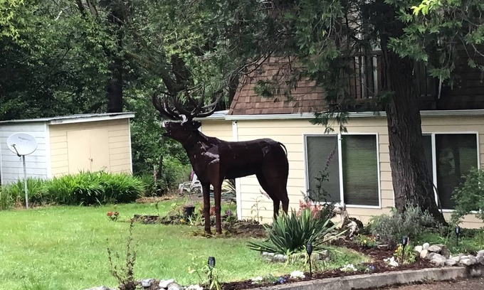 Port Orford House | Elk River Retreat on the river! Great for fishing or relaxing!