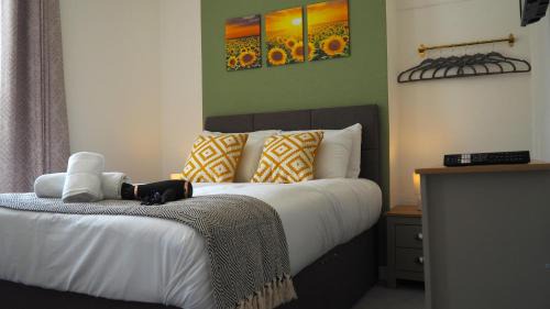 Neath Apartment | Emerald House - TV in every bedroom!