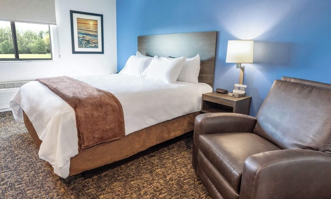 Tucson Hotel | Enjoy Full Kitchen in Comfortable Room, Pet-Friendly Near University Campus