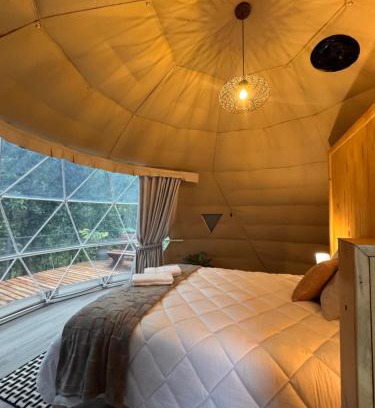 Quebrada Grande Other | Epífita, Bosque Nuboso Glamping Monteverde