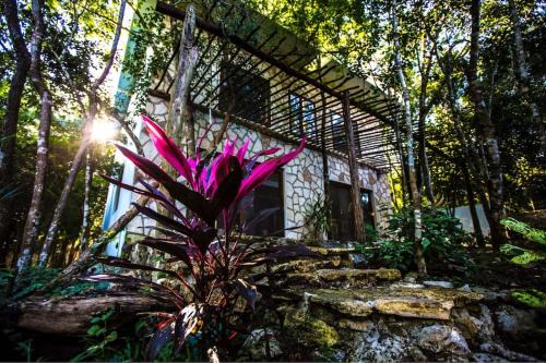 Macario Gomez House | Escarabajo Rojo La Casa Principal