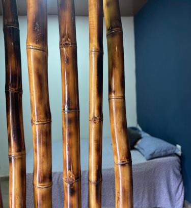 Amajari Apartment | Espaço bambu