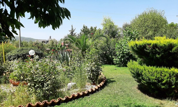 Oludeniz Hotel | Everest Apart Hotel