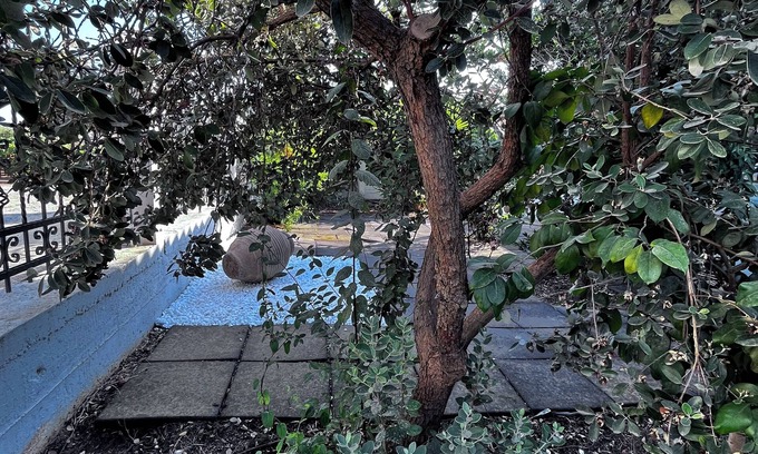 Nea Propontida House | Fabulous 2-bedroom house in Portaria not far from beautiful beaches!