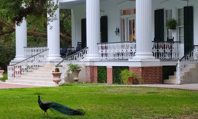 Franklin Bed & Breakfast | Fairfax Bed and Breakfast