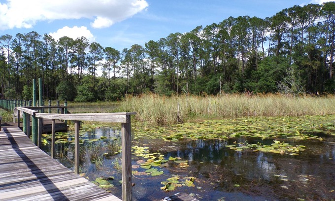 Edgar House | Family-sized lakehouse w/dock and water access. Close to Gainesville!