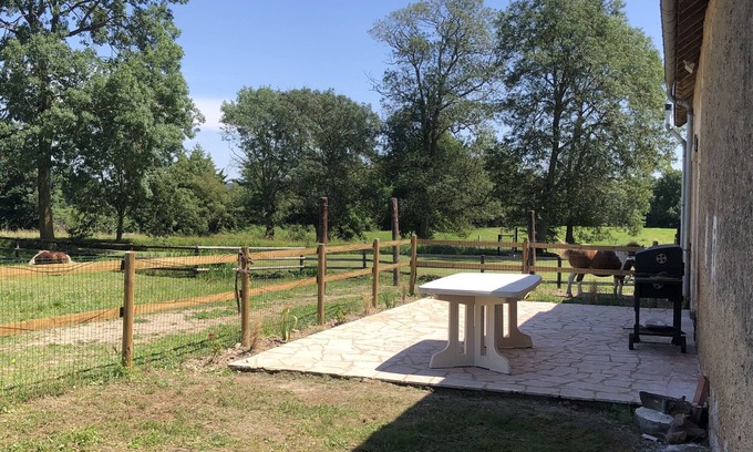 Dissay-sous-Courcillon House | Farm cottage with fireplace on the banks of the river Loir