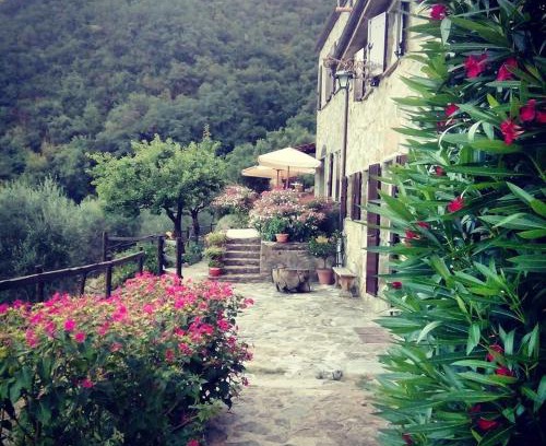 Ne Bed & Breakfast | Farmhouse B&B Castagnola 64