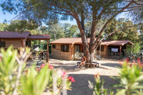 Calvi Resort | Feriendorf La Mora