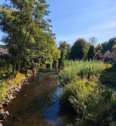 Schleiden Apartment | Ferienhaus Waldoase für 11 Personen und max 2 Hunde im Nationalpark Eifel in Top Lage