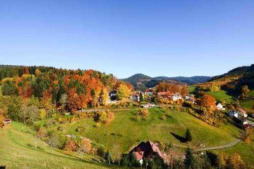 Bad Peterstal-Griesbach Apartment | Ferienwohnung Fürstenkopf