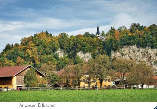 Kuchl Apartment | Ferienwohnung Alpenblick