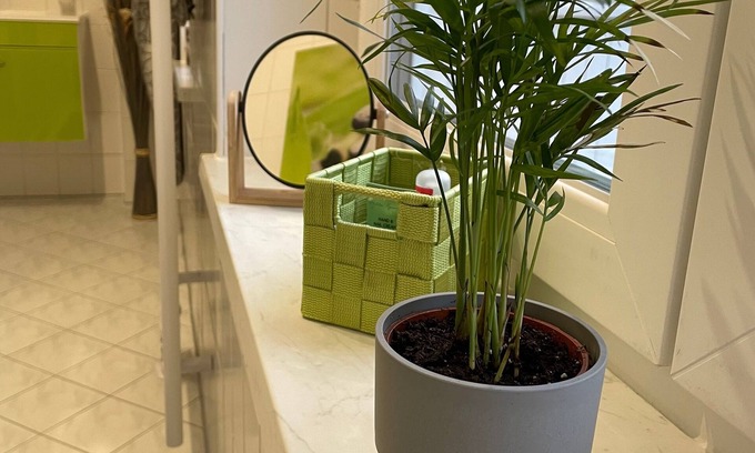 Freiberg Apartment | Ferienwohnung/app. für 3 Gäste mit 60m² in Freiberg