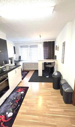 Schaffhausen Apartment | Ferienwohnung FeLu