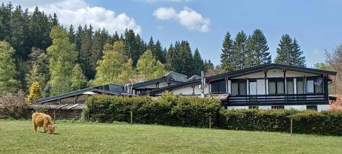 Forbach Apartment | Ferienwohnung GABI
