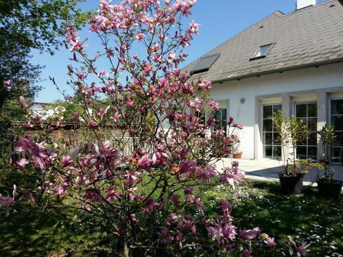 Neusiedl am See Apartment | Ferienwohnung Heider
