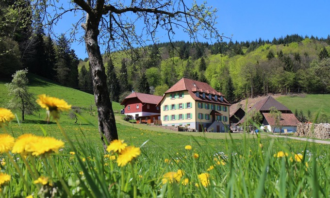 Schuttertal Apartment | Ferienwohnung Isabell mit 30qm, 1 Wohn-/Schlafraum für maximal 2 Personen