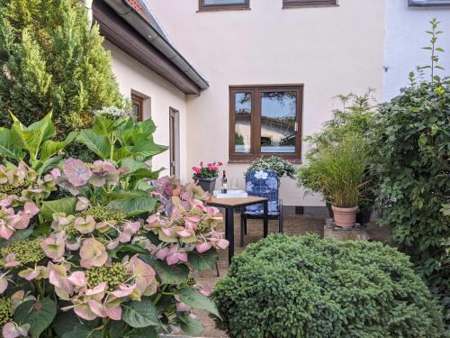 Brinckmannsdorf Apartment | Ferienwohnung Struck Objekt 76996