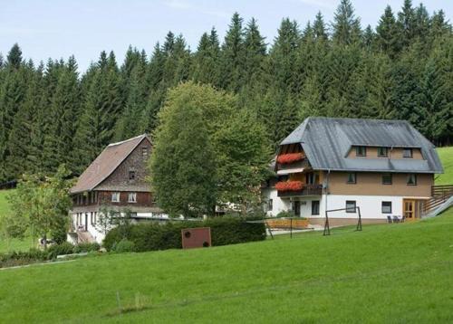 Titisee-Neustadt Apartment | Ferienwohnung-Talblick
