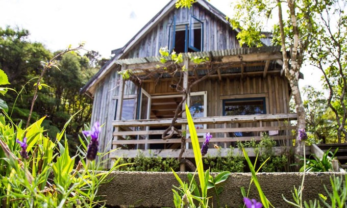 Coromandel Apartment | Fern Lodge Coromandel
