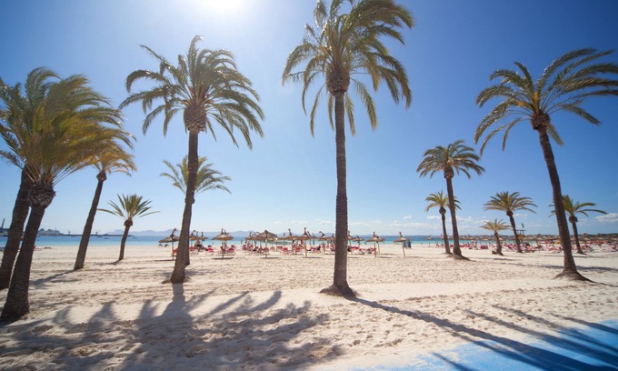 Alcudia Apartment | Ferrer Lime Tamarindos