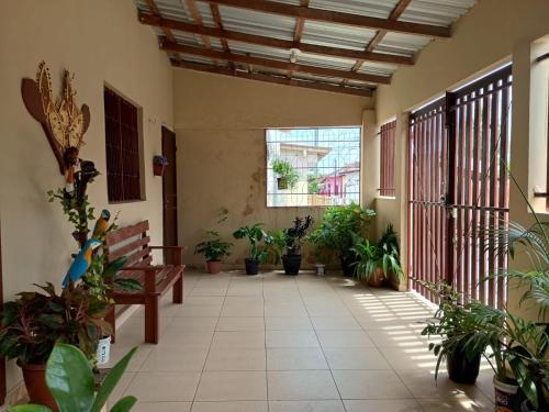 Parintins House | Festival de Parintins