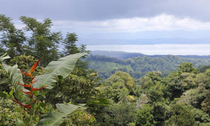 Puerto Jimenez Hotel | Finca Sueno de Osa