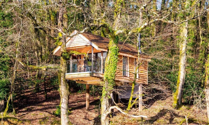 Beaworthy House | Finest Retreats - The Tree House - Eco-Friendly, Back to Nature Experience