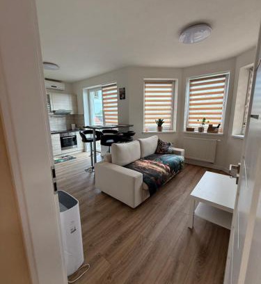 Dunajska Streda Apartment | Flamingo Apartment