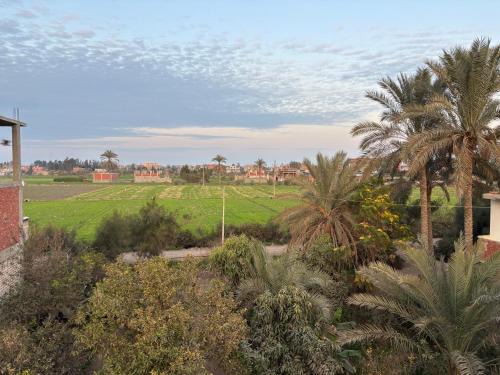 Al Husayniyah Apartment | Flat in a village