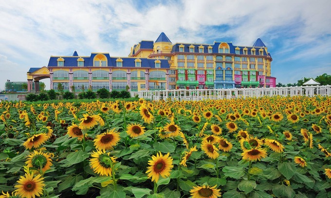 Nansha Hotel | Floloving Hotel