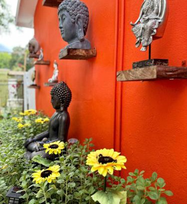 North Miami Apartment | Flora's Garden Apartment/Studio