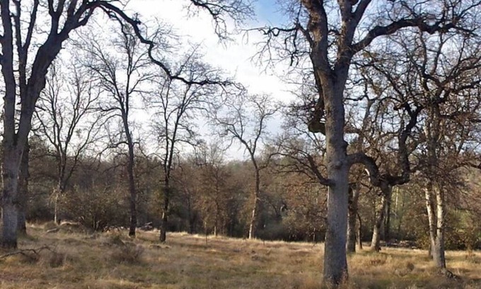 Midpines House | Foothill Acres - Family Cabin near Yosemite