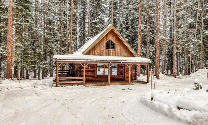 McCall House | Forest Cabin