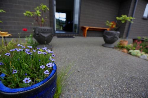 Waitarere Beach House | Forest Charm by the Beach